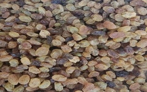 تصویر 1 از قیمت کشمش پلویی کاشمر + خرید باور نکردنی